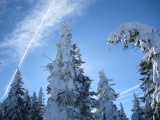 Lyžařský & snowboardový kurz - únor 2013